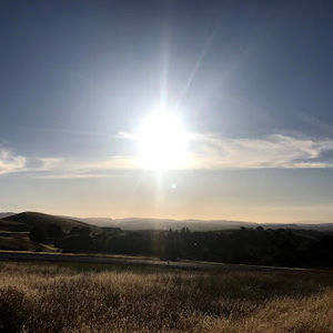 Meet your Posher, Tabatha